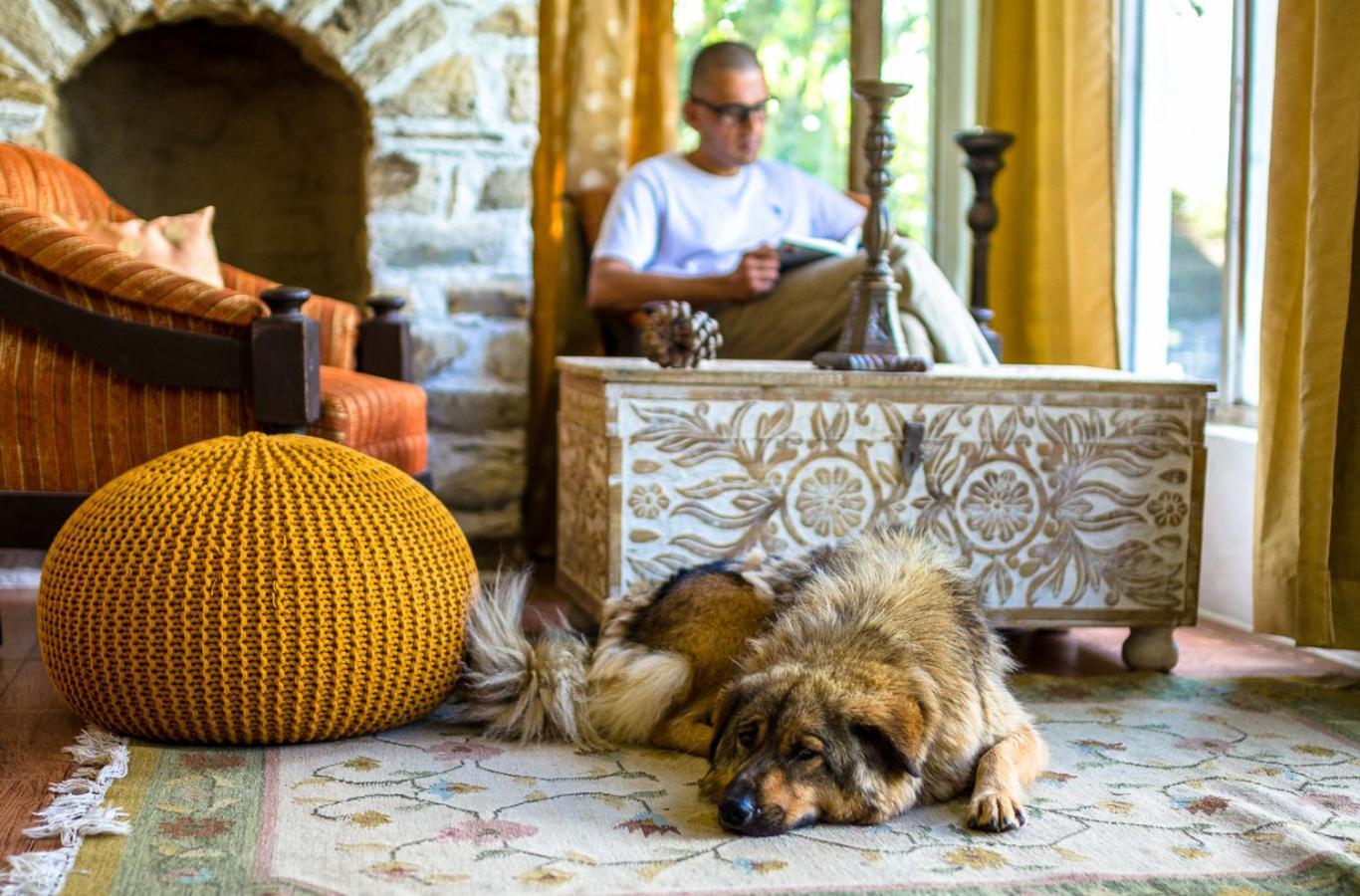 Happy Dervish Homestay Mukteshwar Eksteriør bilde