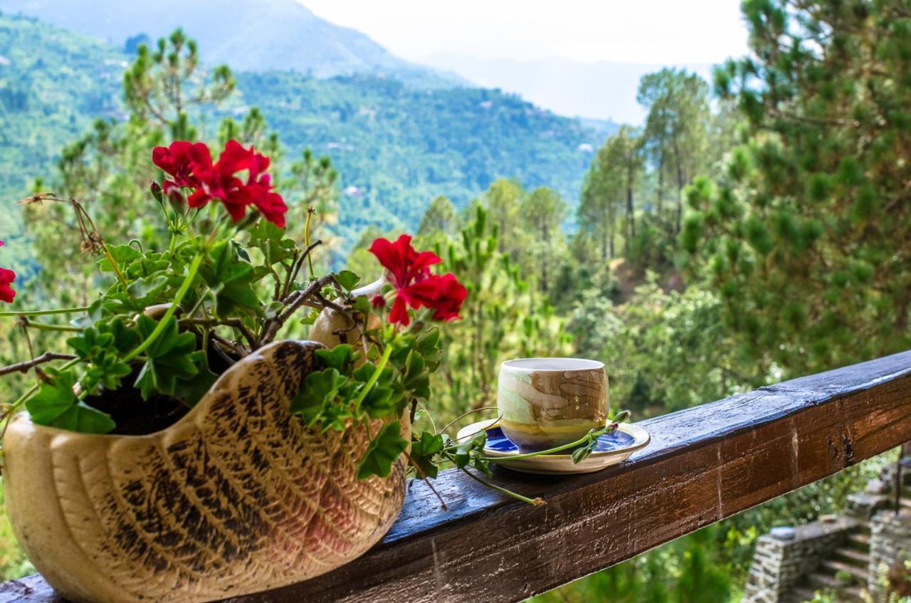 Happy Dervish Homestay Mukteshwar Eksteriør bilde