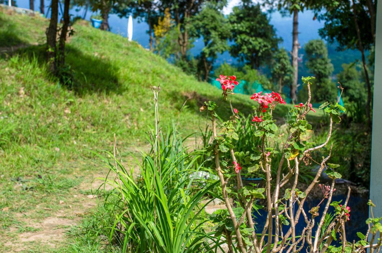 Happy Dervish Homestay Mukteshwar Eksteriør bilde